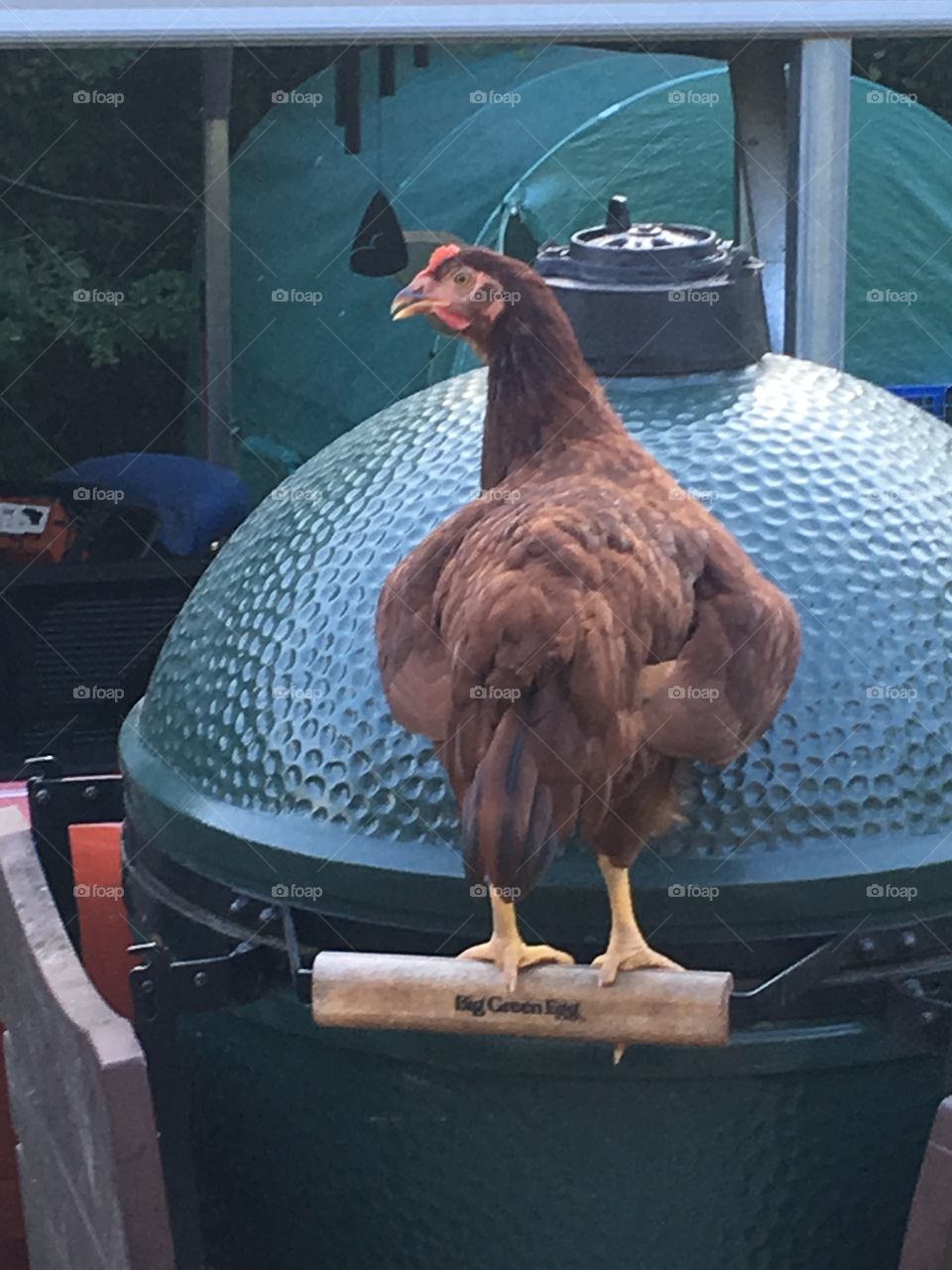 Grillin chicken