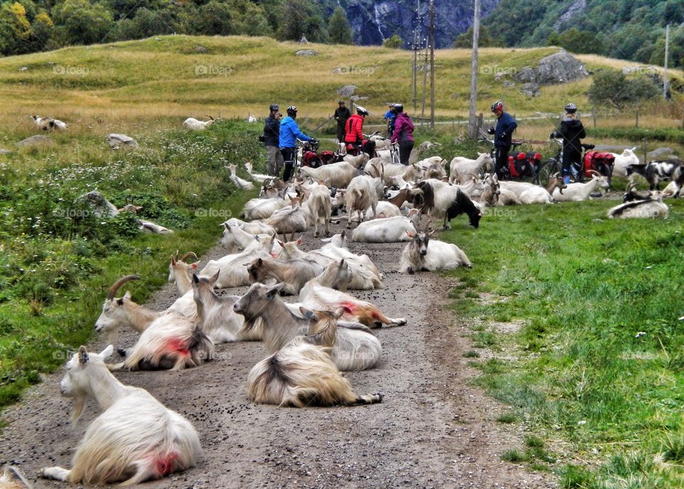 Exploring Norway