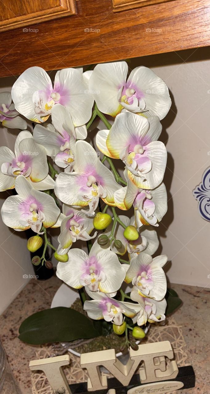 Fake Orchids