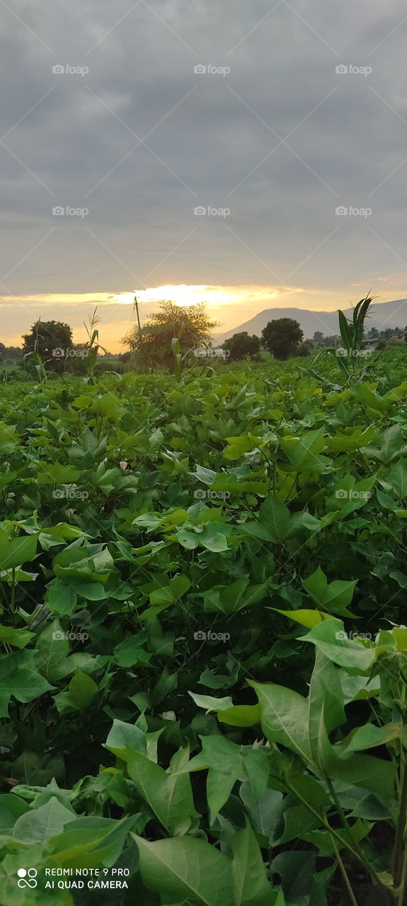 Aag ugalne wala chandrama.
man ko
Lene wala chandrama.
donon hi manushya ke liye bahut hi labhdayak pyar bhara muskan dene wala duniya ka sabse anokhe a tahe hain
