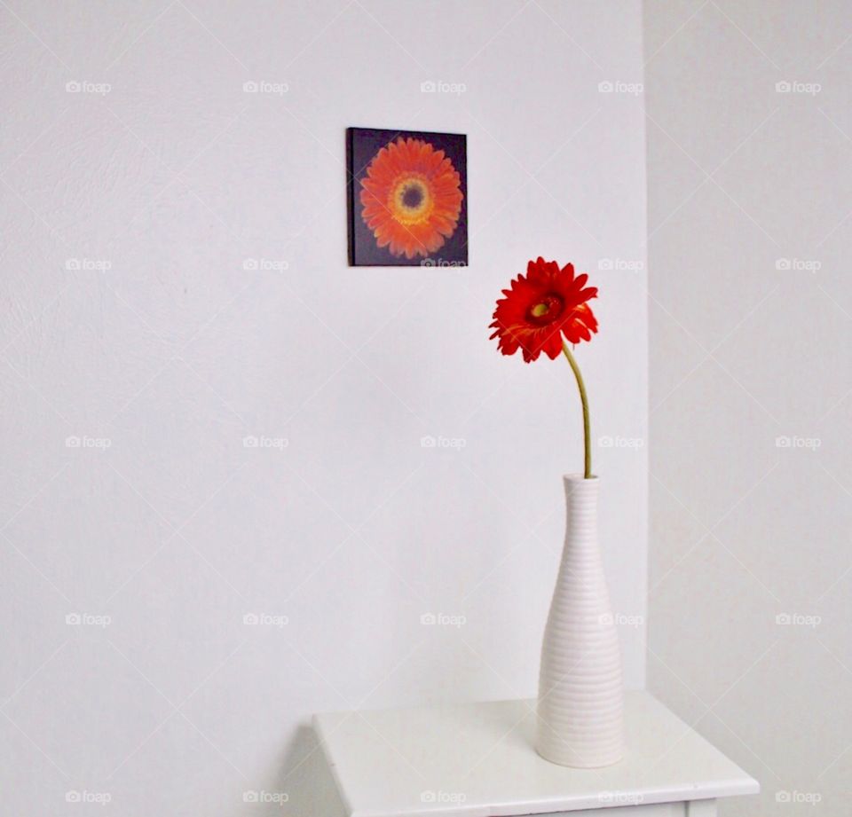 An orange flower in a white vase on a white background with a matching picture of an orange flower.