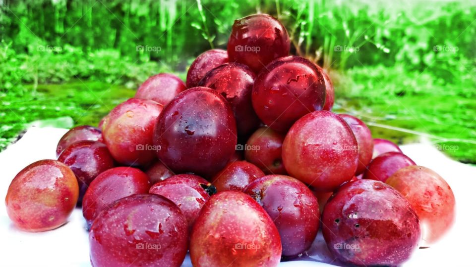 plum is very healthy fruit.