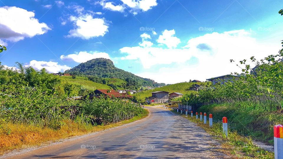 Nature make me feeling peaceful.