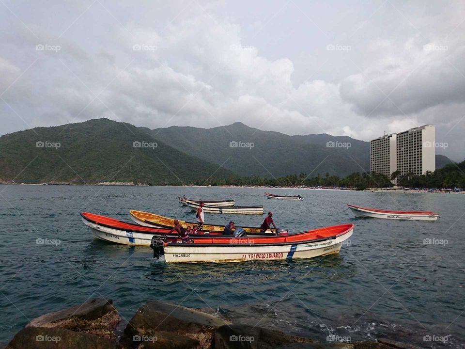 bahía de cata