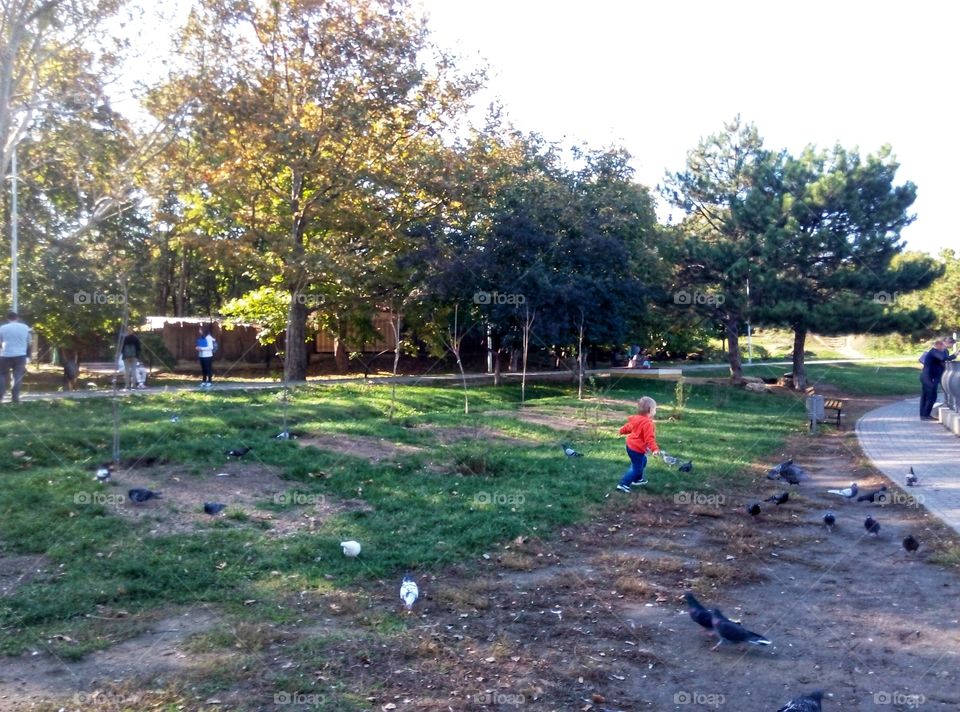 the kid is racing pigeons малыш гоняет голубей