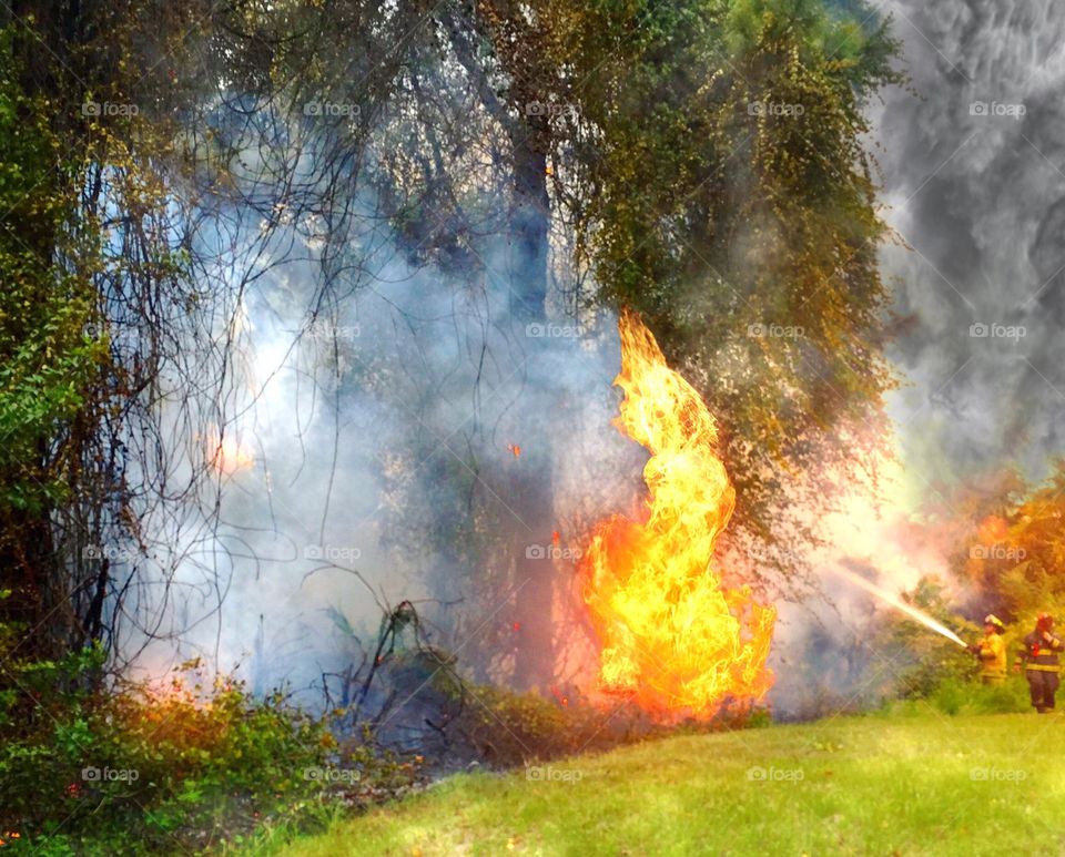 Firefighters working. Brave firefighters extinguishing a brush fire started by lightning.
