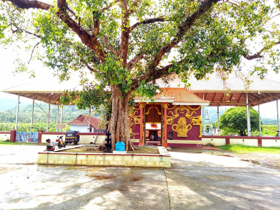 Uthralikkavu, or Rudra Maha Kali Kavu, is aDevi temple in Central Kerala,india
