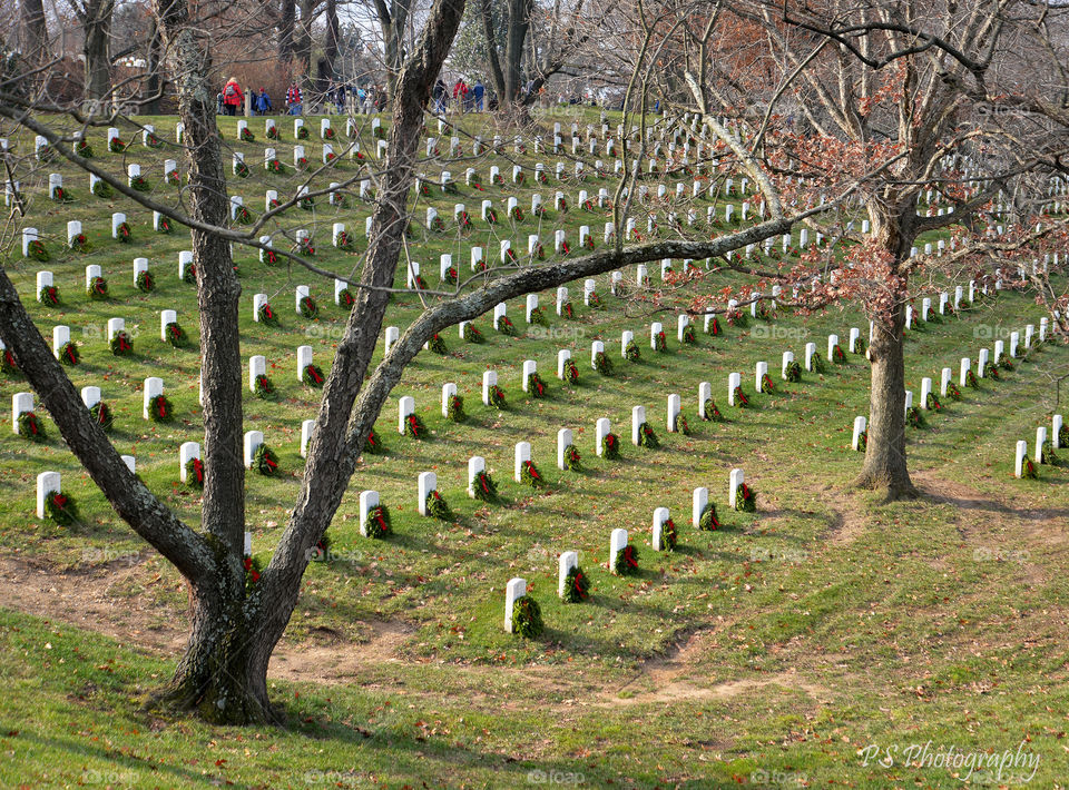 Wreaths Across America. Arlington National Cemetery laying of the wreaths