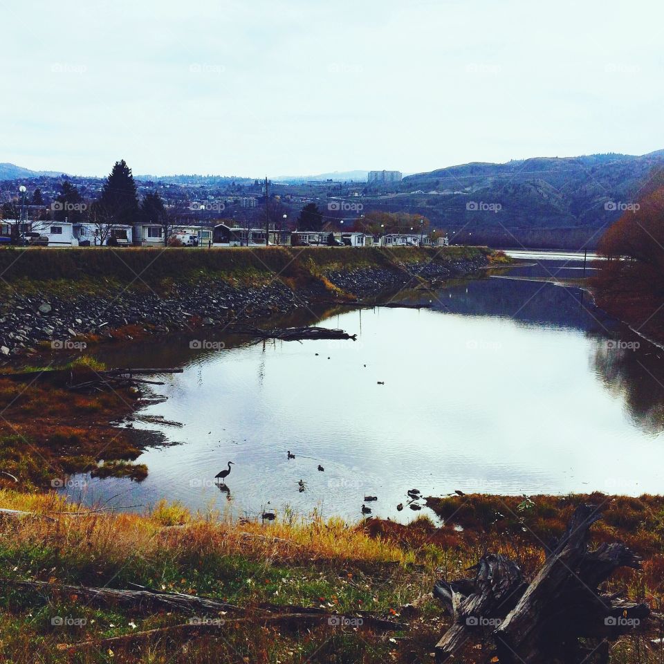 Fall day in Kamloops! 