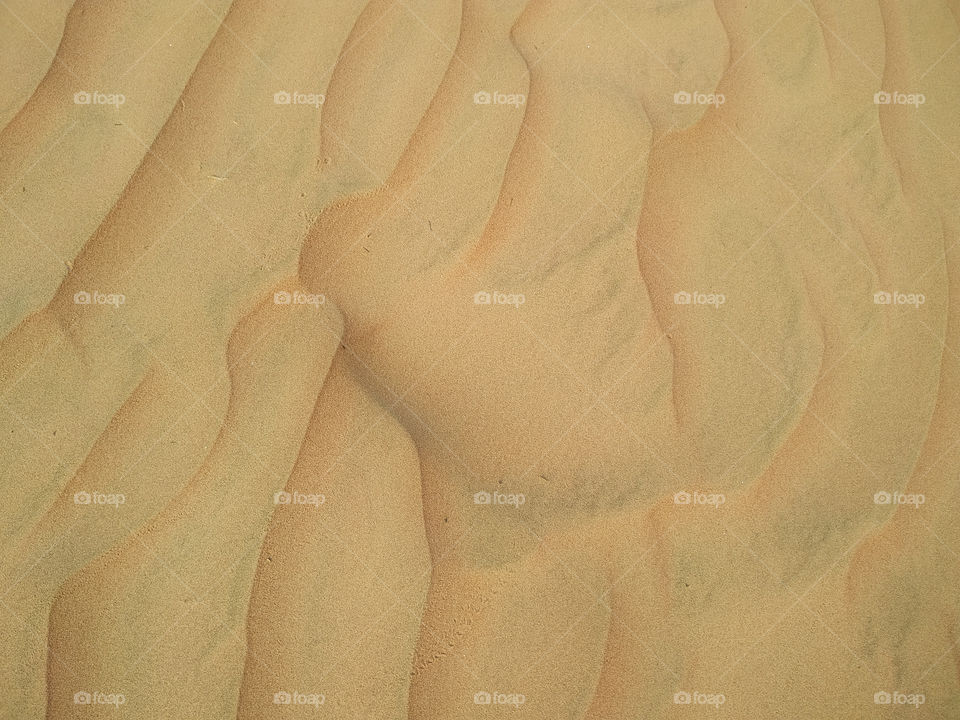 A closeup of sand dune texture