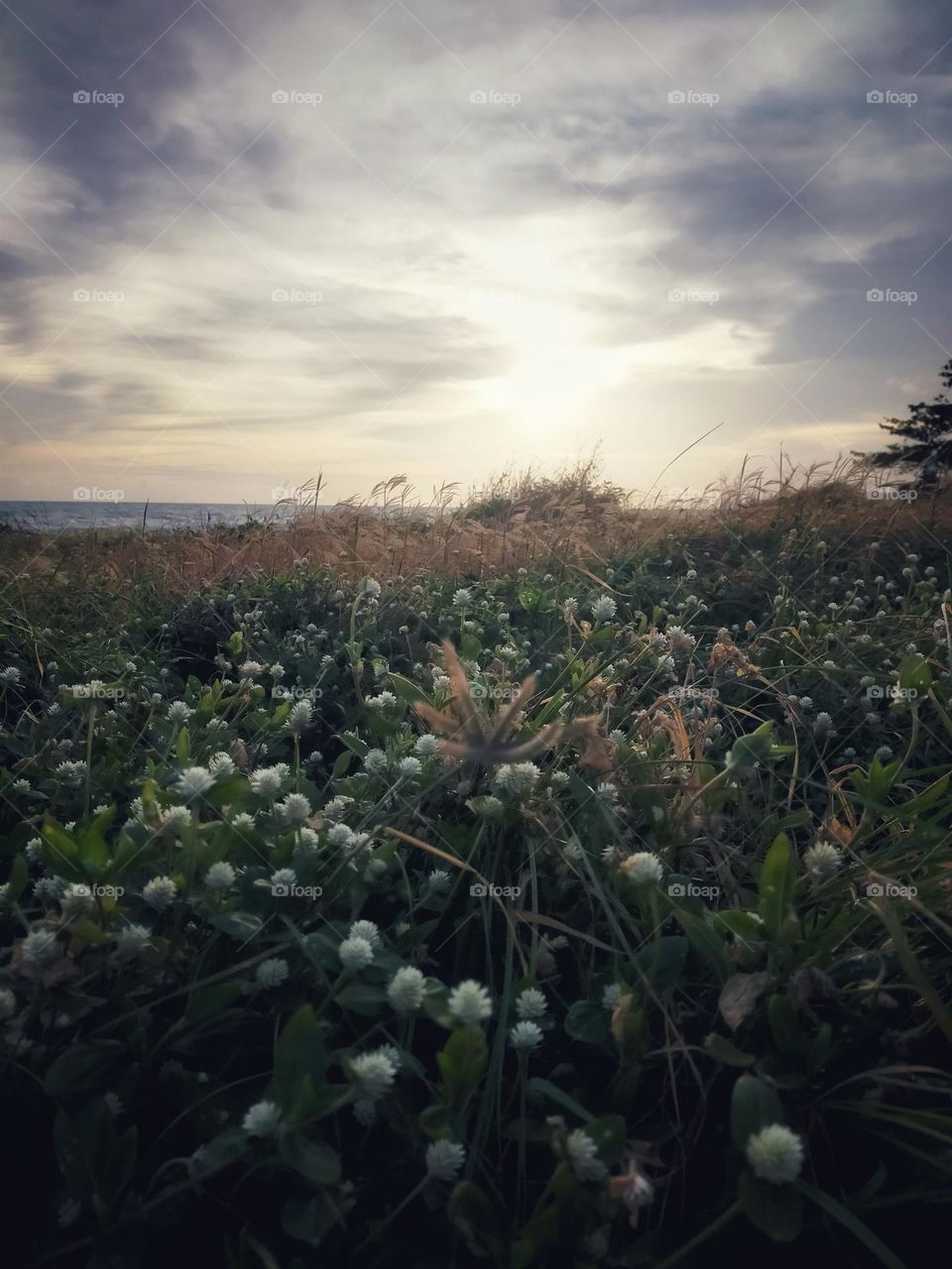 Natural scenery in different places