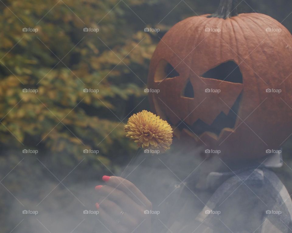 A grateful pumpkin; woman with Carved pumpkin head holding a yellow dahlia 