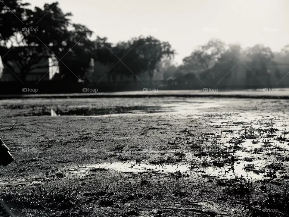 Muddy mess