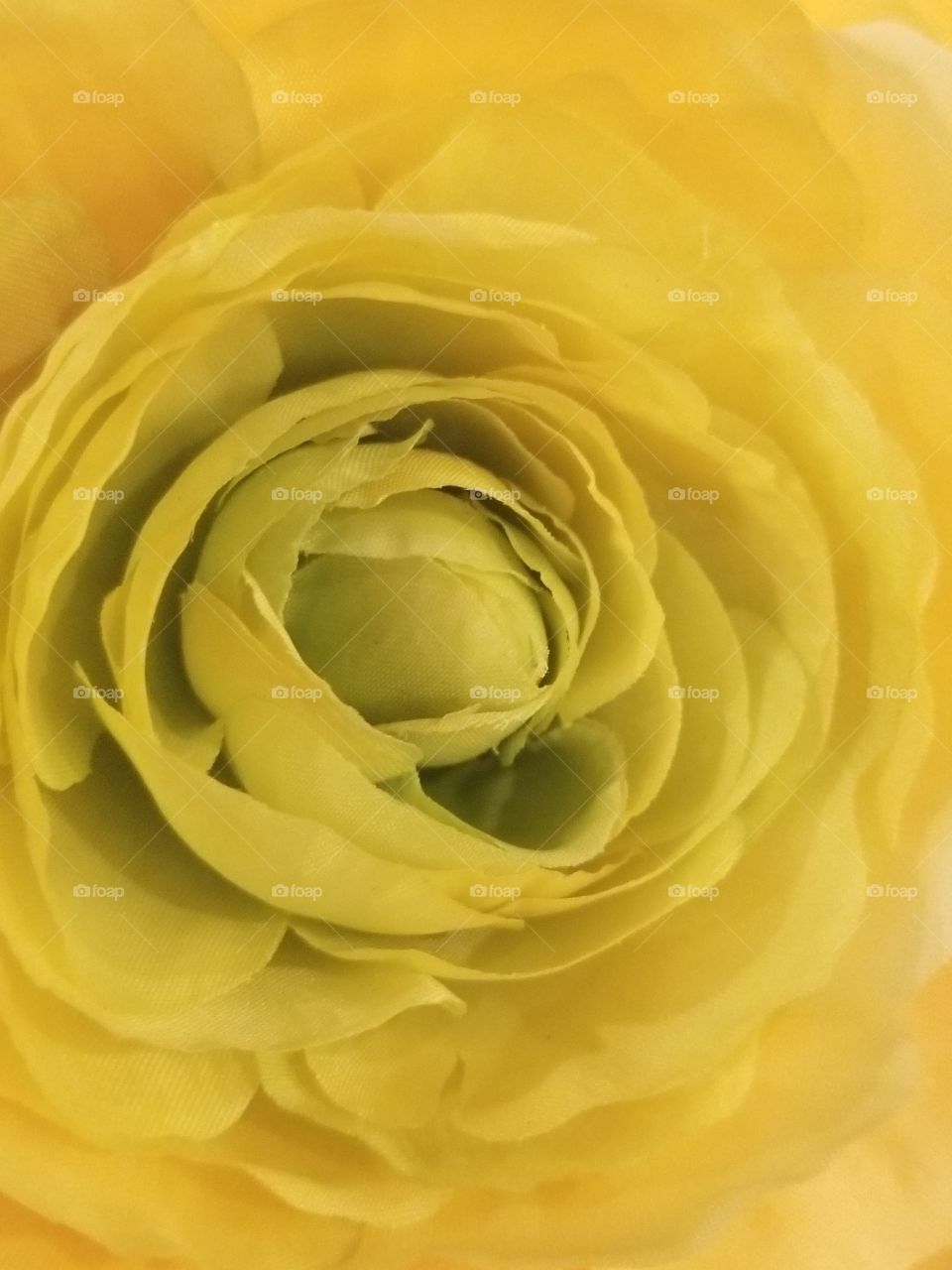 Cool Yellow flower