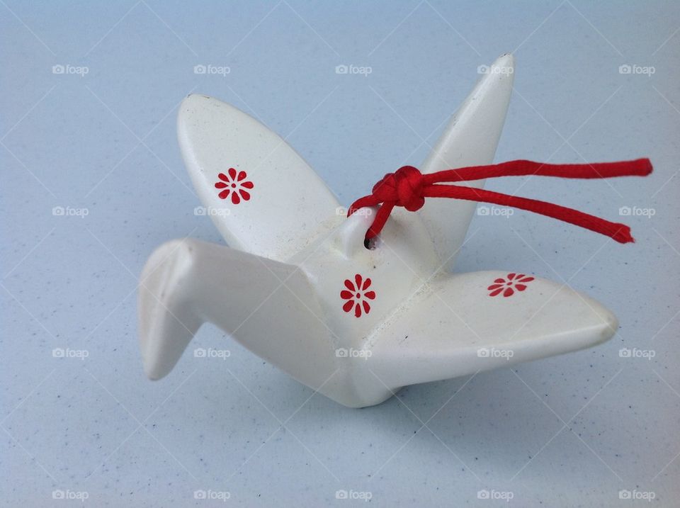 flower red white colors by king