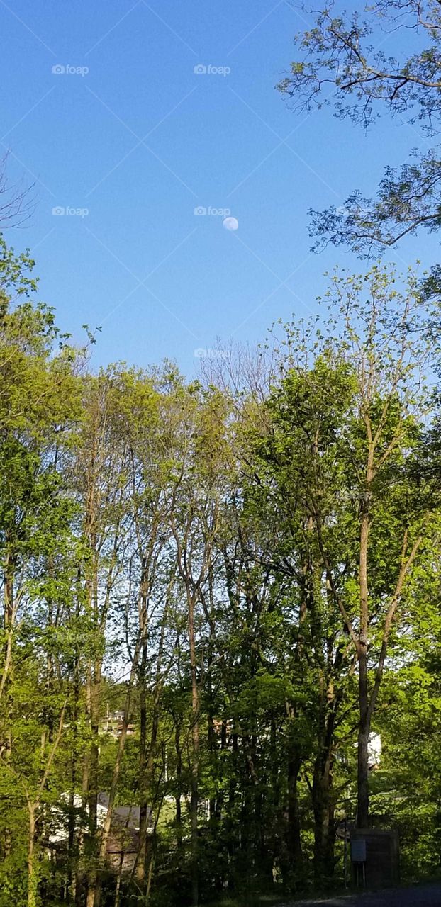 sunrises, sunsets and the moon