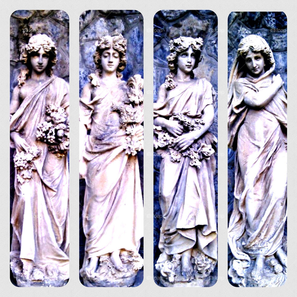 The four seasons