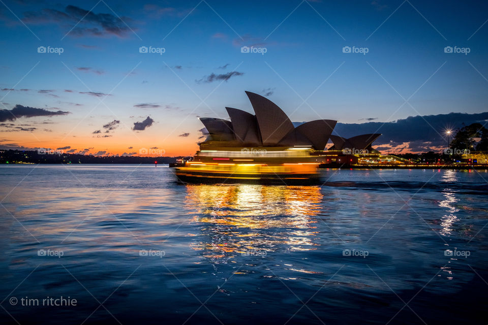 A Sydney Harbour Ferry in an Opera House hat dashed off to a dawn party