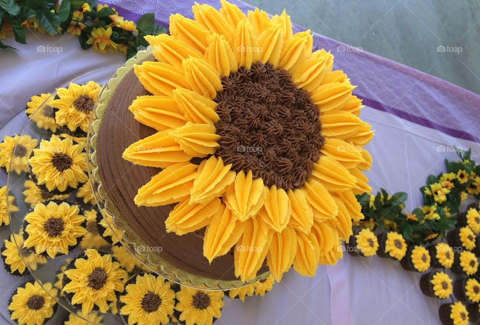 Sunflower cake