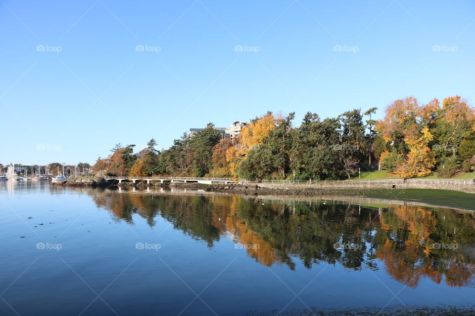 Autumnal reflection 