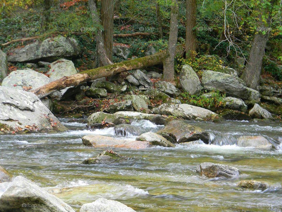 Banks of the Rocky Broad. North Carolina mountains