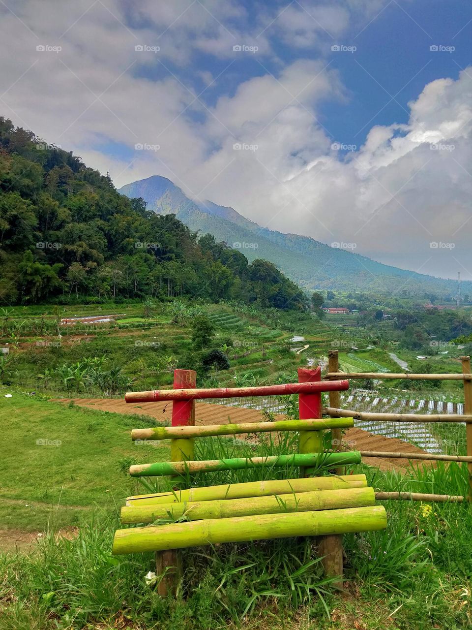 Empty bench on the hill