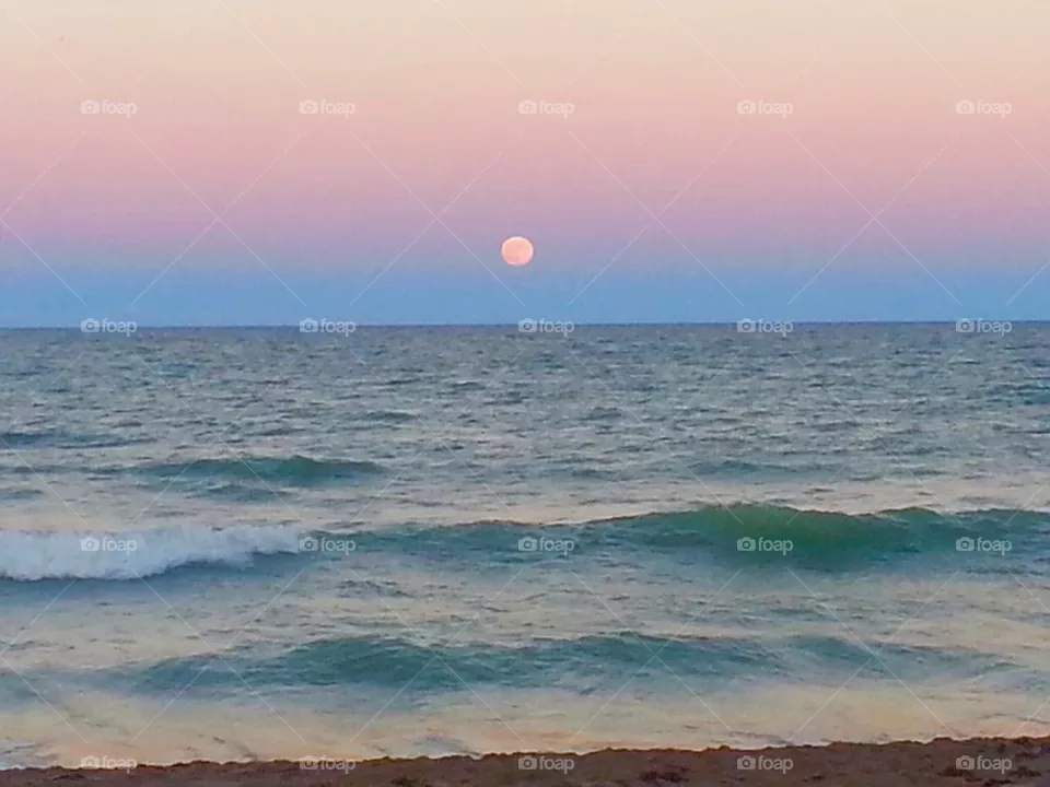 Moon