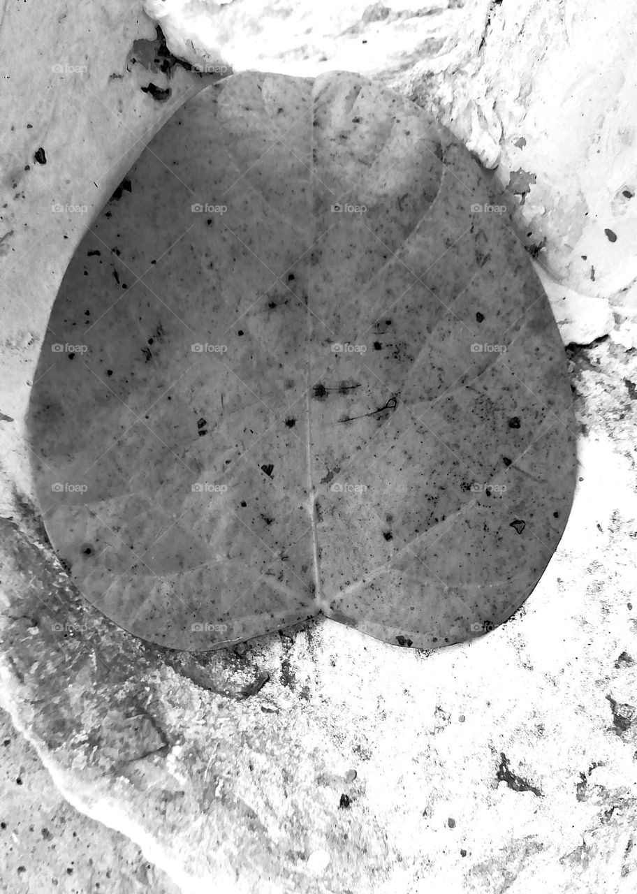 Yellow black and white clouds