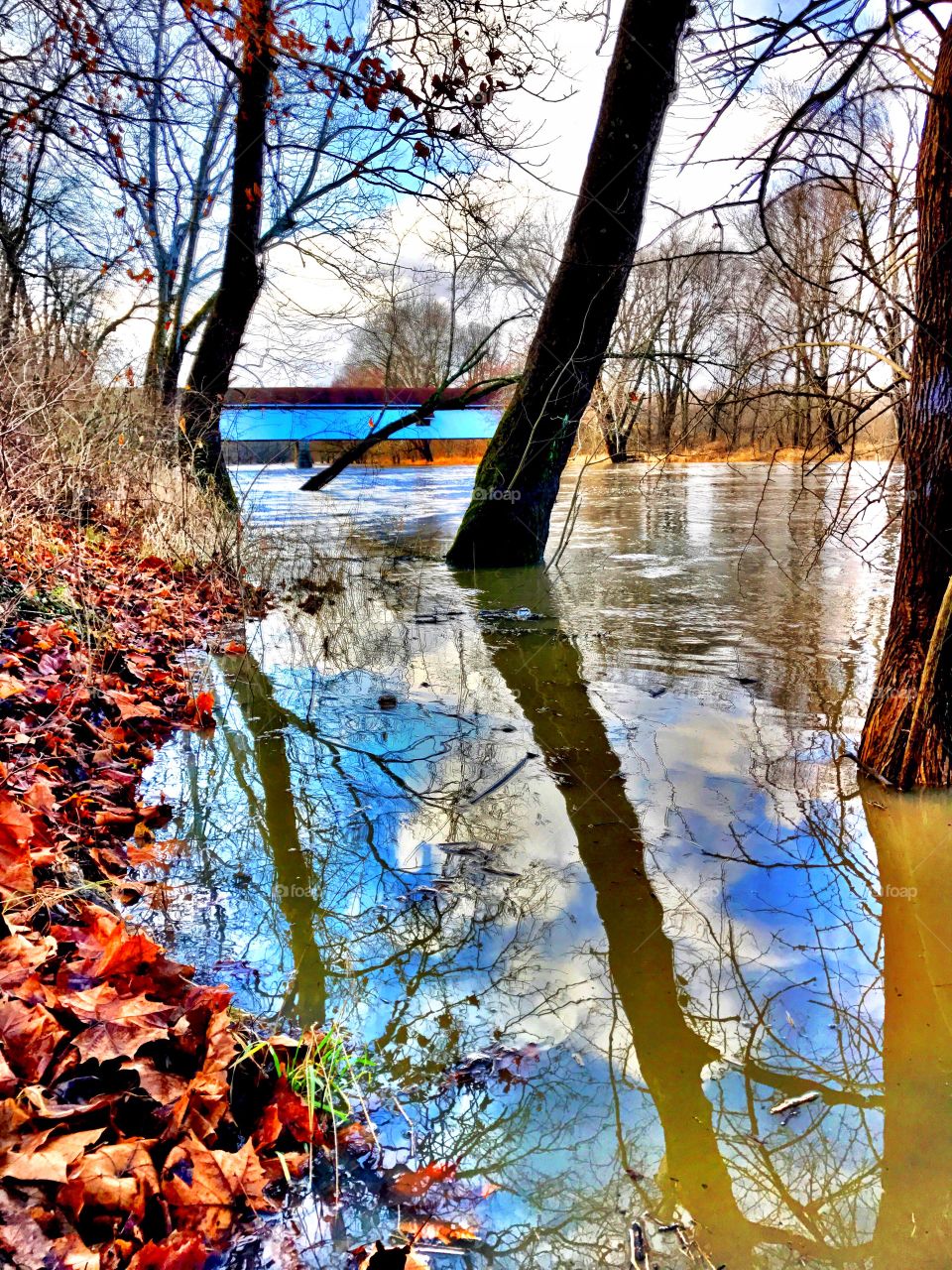 Beautiful view in Indiana 