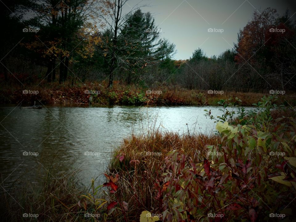 Northern Michigan 