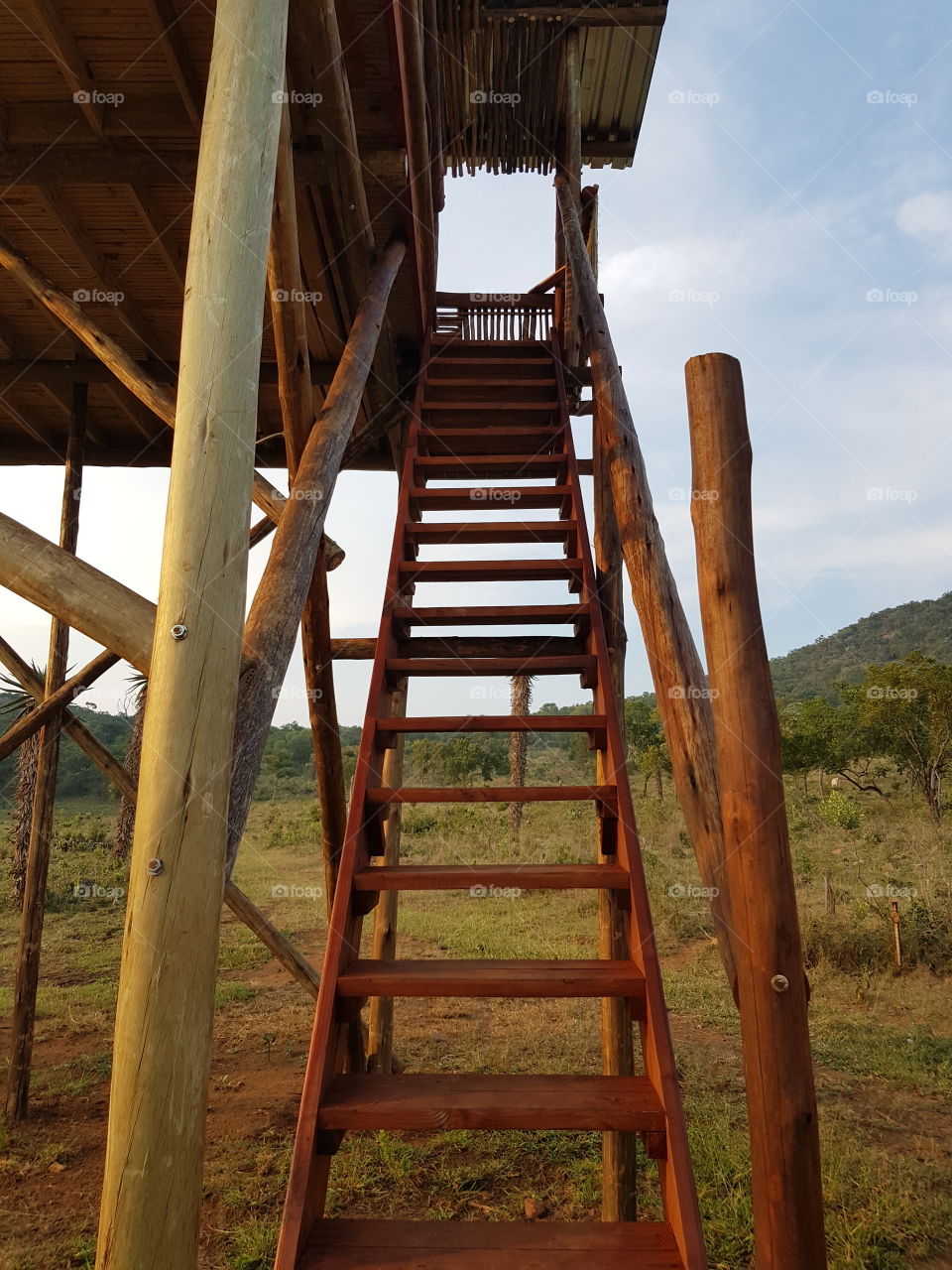 Wooden Stairs