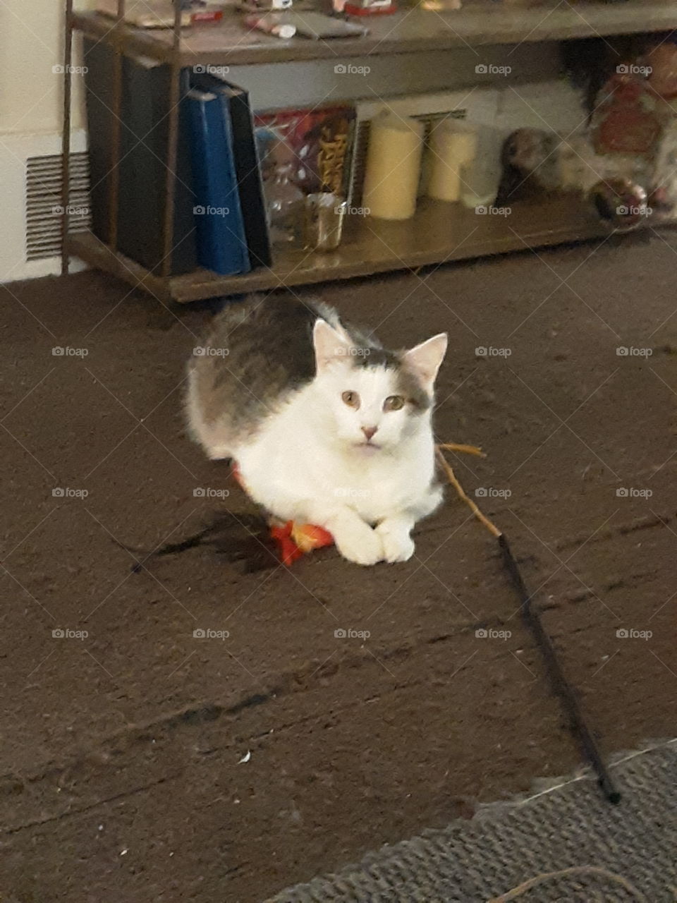 My Fat Man with his toy