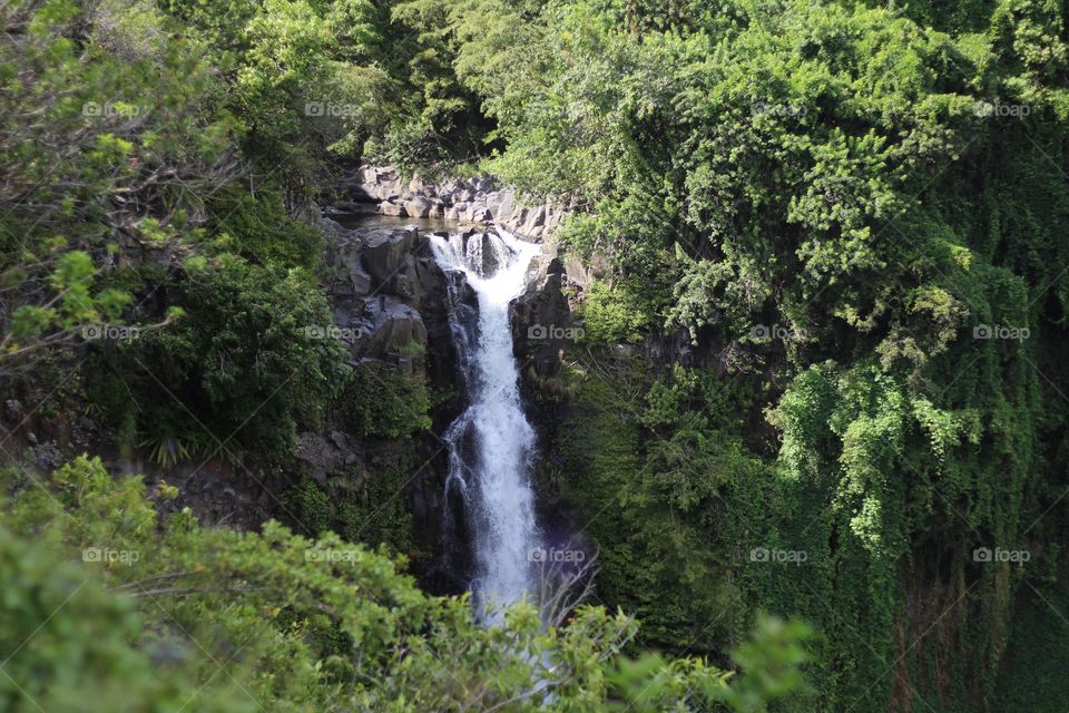 Wood, No Person, Nature, Waterfall, Water