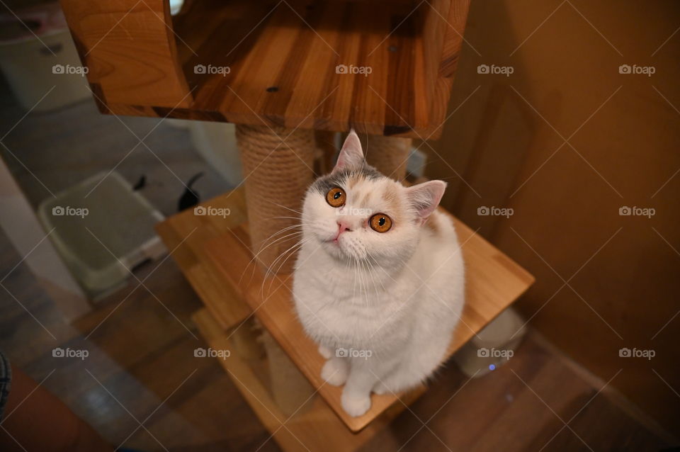 Looking for something