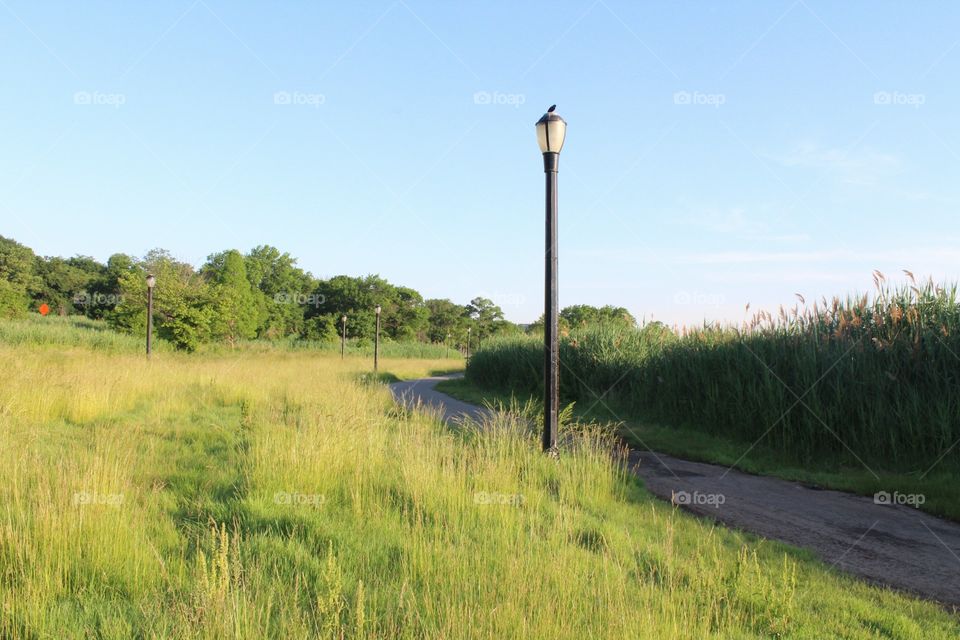 No Person, Landscape, Nature, Grass, Outdoors