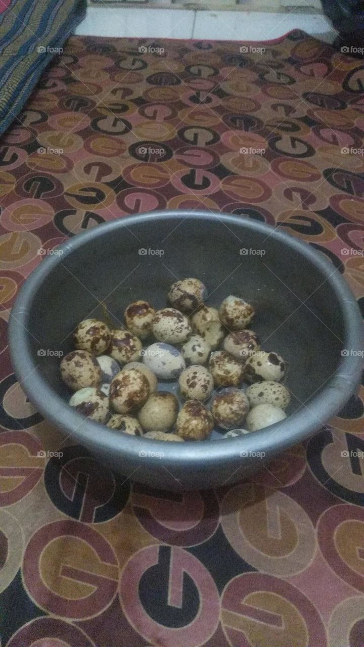 quail eggs