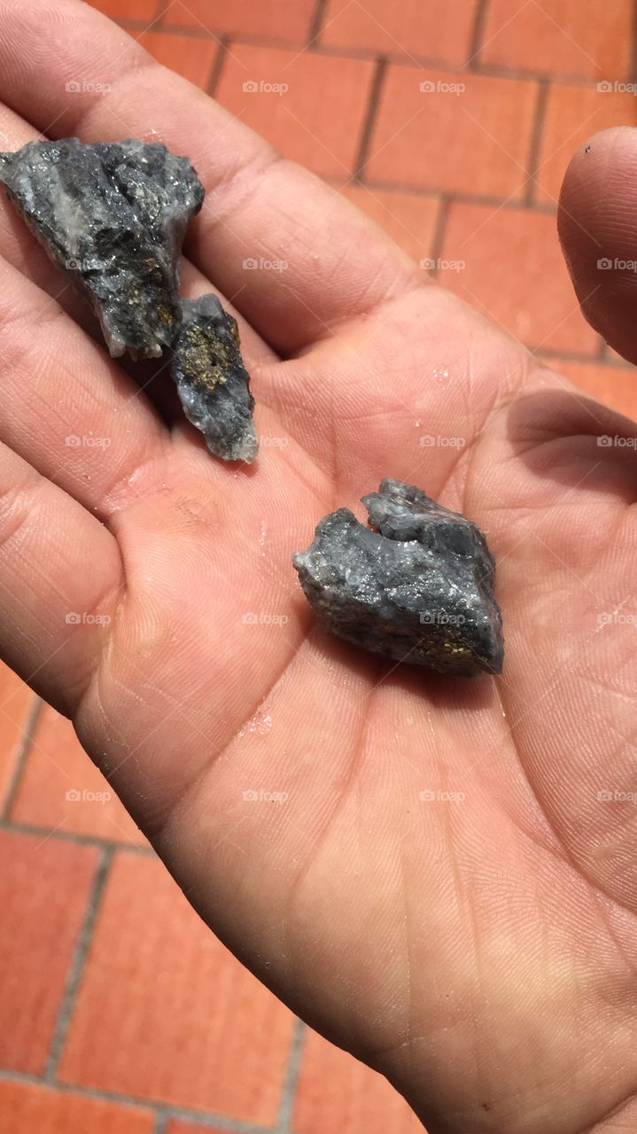 Minerales de nuestra región, oro incrustado en la roca madre en su estado natural. Vetas/Santander/colombia 