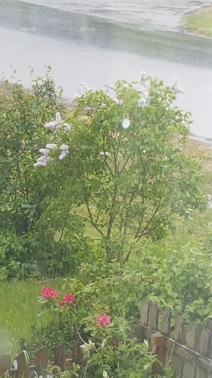 En regnig eftermiddag