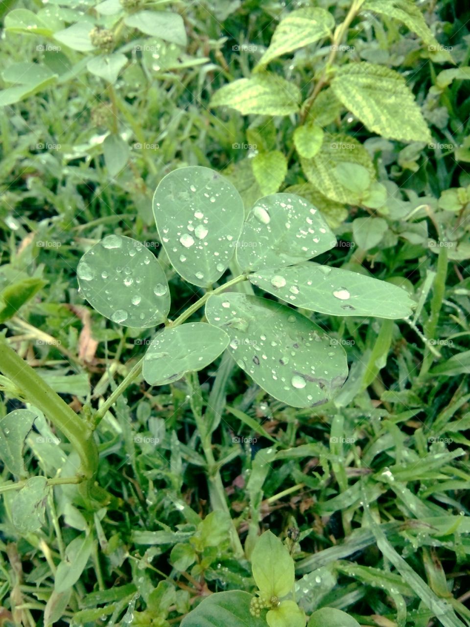 A great photo,a photo for everyone,a memorable photo,a no.  photoa photo to cherish,a beautiful photo,a great photo for the best people,an evergreen photo,a photo to remember for years, the best result of great photography