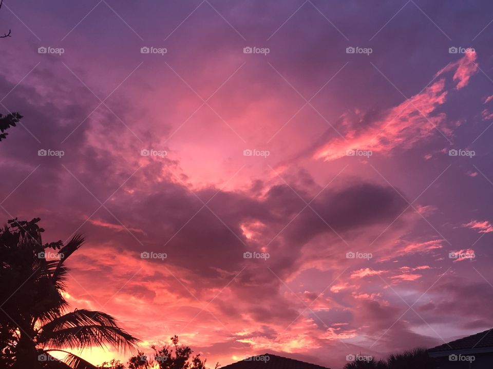 Dramatic bold colorful sunset in backyard 