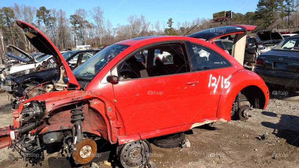 Junkyard Bug