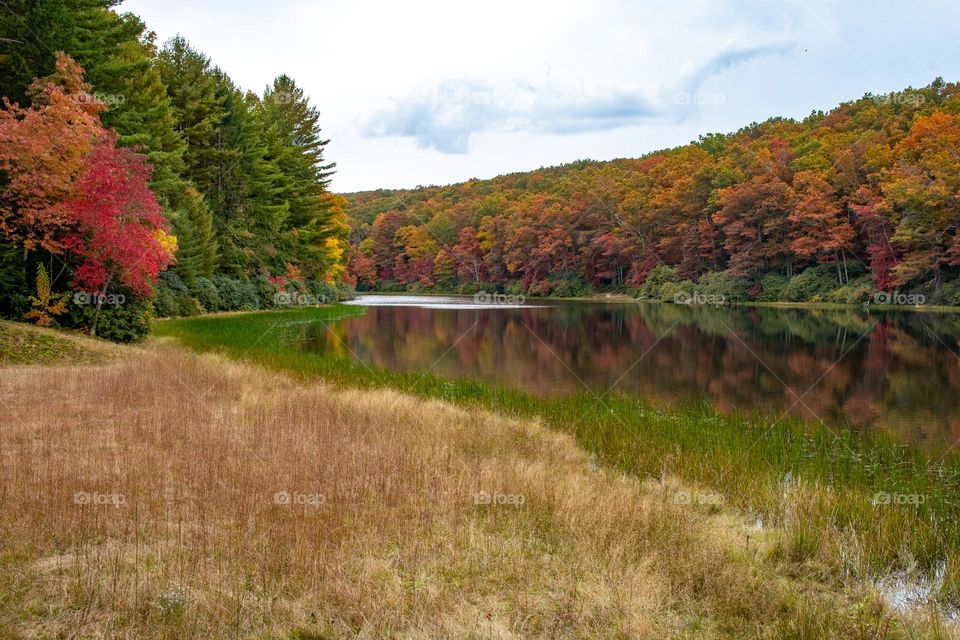 Fall Reflections in a Lake