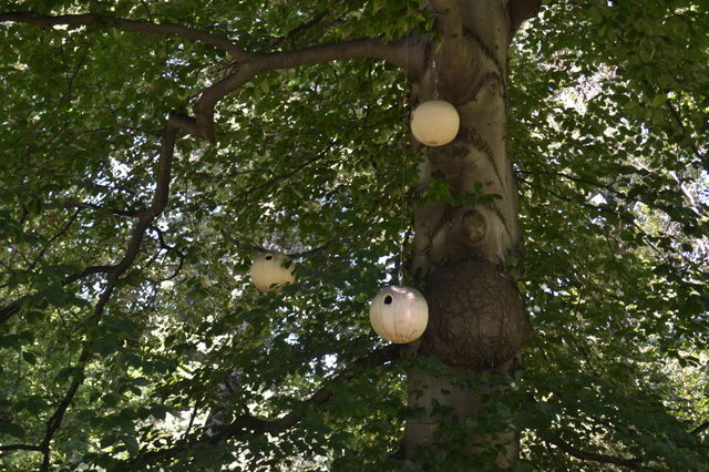 tree bird houses