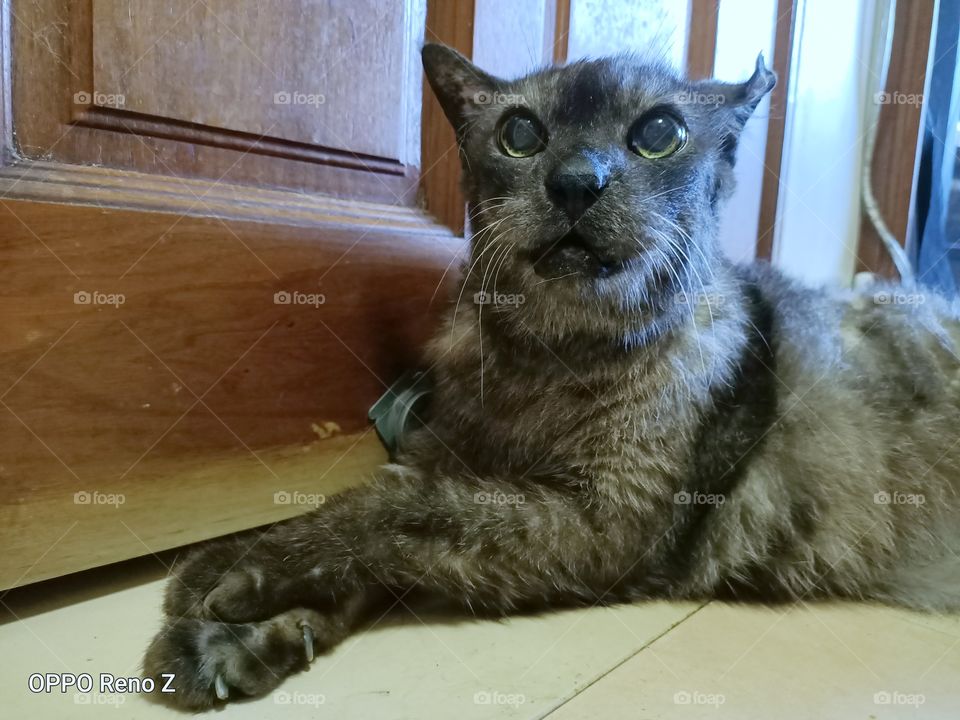 'Putera' a 17 years old furboy