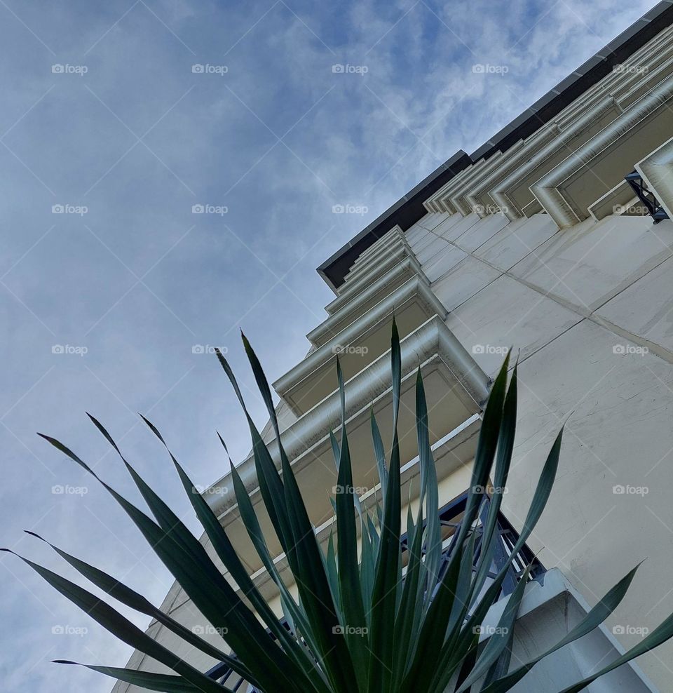 the view of the building and the blue sky, visible from below