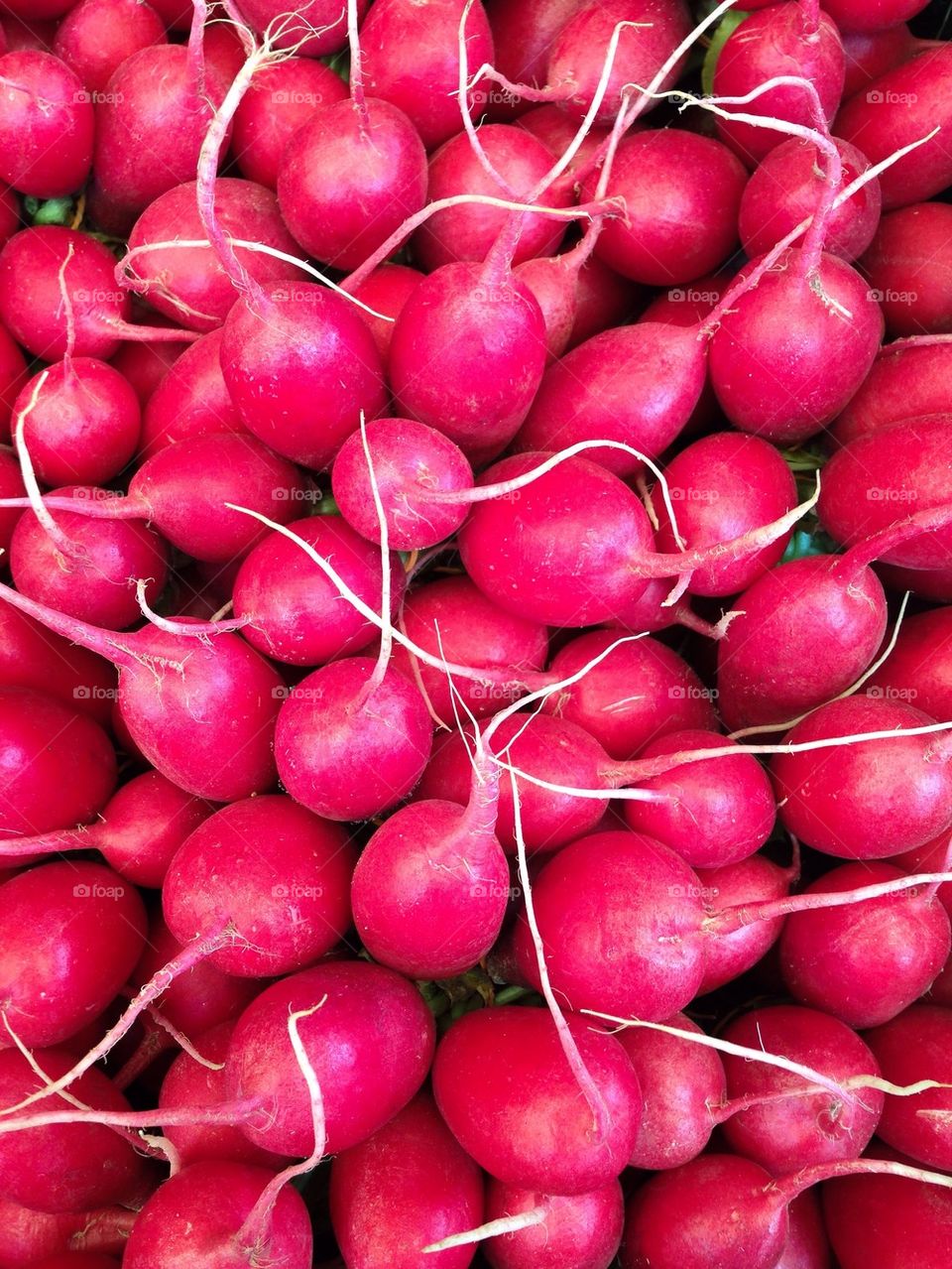 Full frame shot of radish