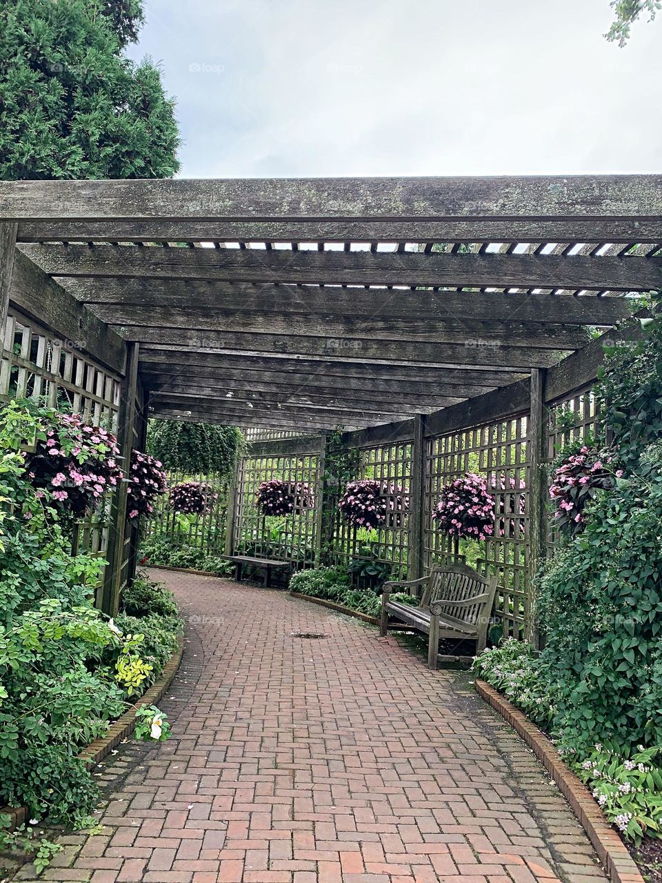 Wooden Alley - Botanical garden 🌸