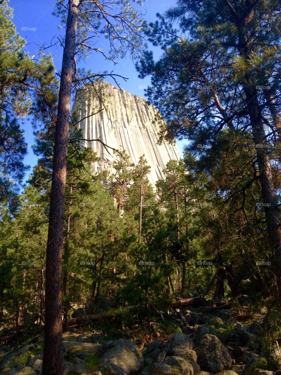 Wyoming Devils tower. National monument in Wyoming