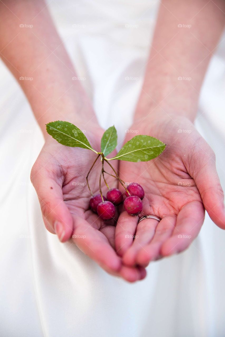 Red berries in woman's hand