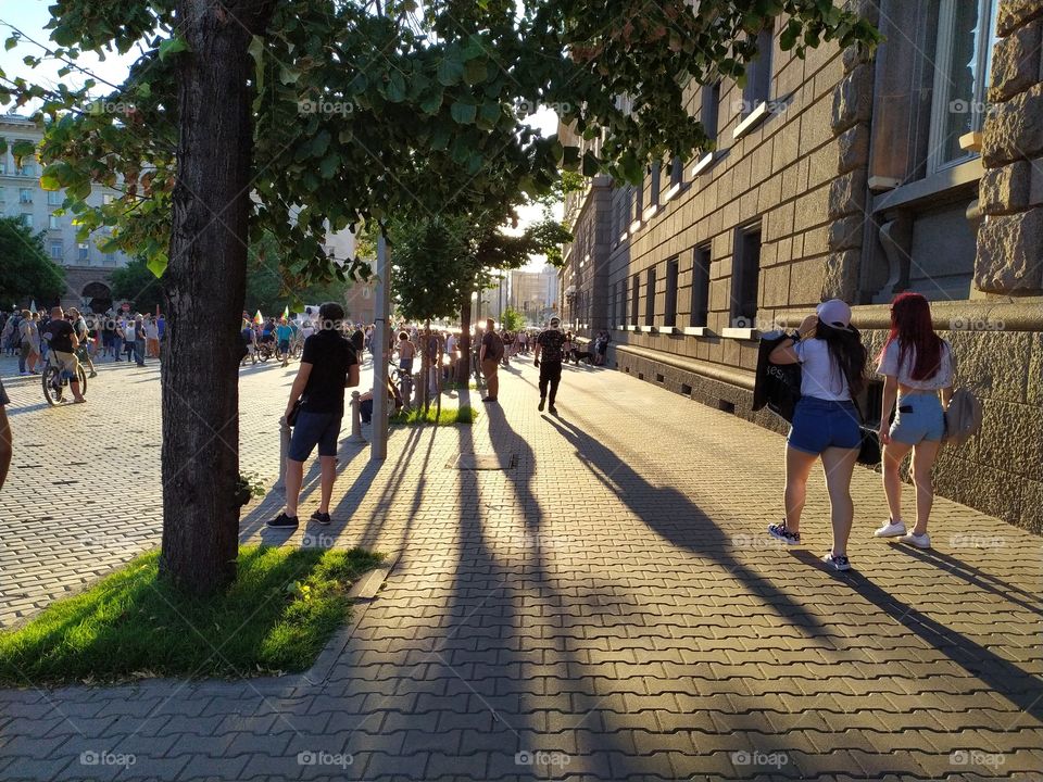 Long Shadows on the Yellow Brick  Road